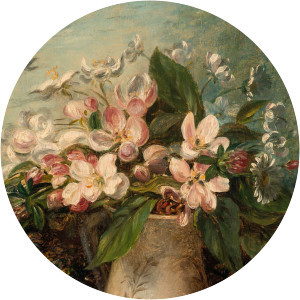 Shepard Alonzo Mount