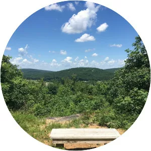 Shepherd Mountain - Summit in Missouri