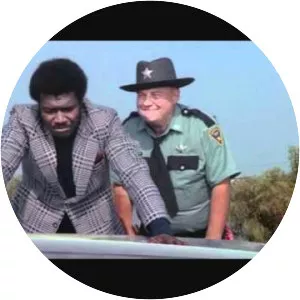 Sheriff J. W. Pepper - Fictional character