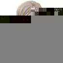 Shimako Tōdō - Fictional character