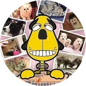 Shimura ZooSince 2012 - TV program