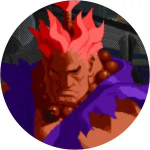 Shin Akuma - 