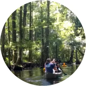 Shingle Creek - Stream in Florida