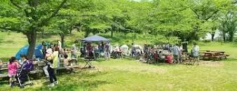 Shinrin Park Urban Arboretum - 