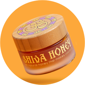 Shiva Honey - Visual artist