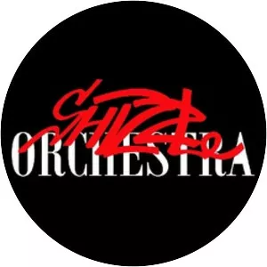 Shizzle Orchestra - Musical artist