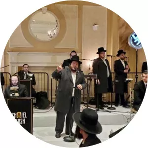 Shmiel Hersh Miller - Musical artist