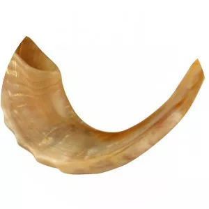 Shofars