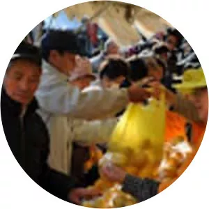 Shogawa Water Memorial Park - 