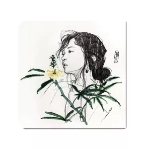 shogonodo - Musical artist