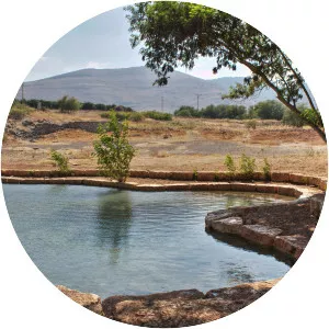 Shokek - Spring in Israel