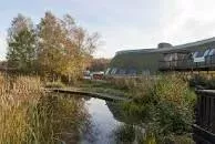 Shorne Woods Country Park - 