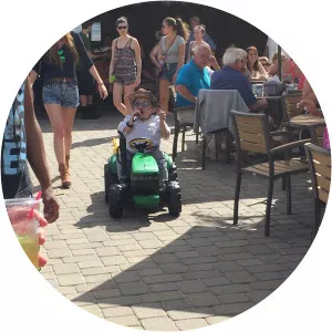 Shorty Long - American singer-songwriter