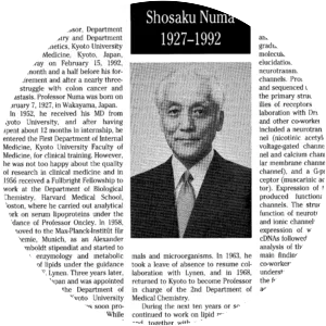 Shosaku Numa