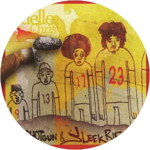 Shotgun & Sleek Rifle - Album by 87, Big Tone, Danny Brown, Denmark Vessey, Goose, Maya Songbird, Quelle Chris, and Roc Marciano