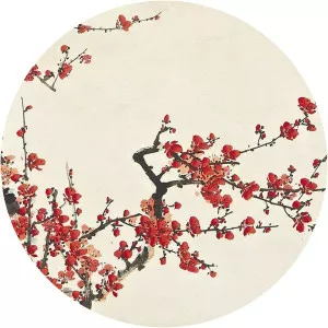 Shouping Dong - Illustrator