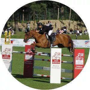 Show jumping - Sport