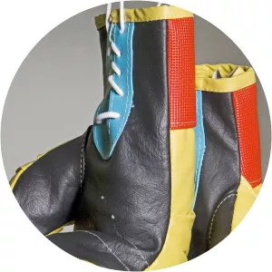 Showtime Sports: Best of Showtime Boxing 2012Since 2012 - TV program