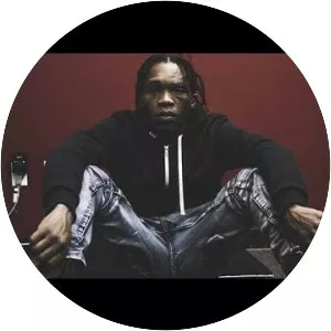 ShredGang Horse - Musical artist