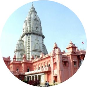 Shri Vishwanath Mandir - 