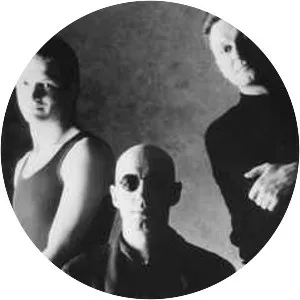 Shriekback - Rock band