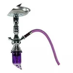 SHSHA - Musical artist