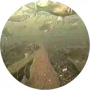 Shubenacadie Grand Lake - Lake in Canada