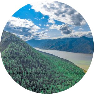 Shushensky Bor National Park