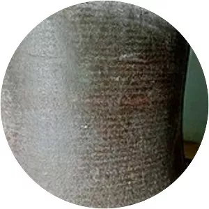 Shwezigon Pagoda Bell Inscription