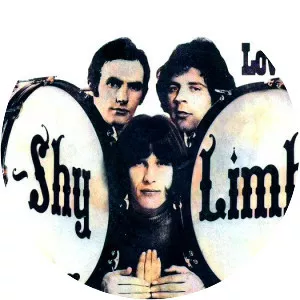 Shy Limbs - Musical group