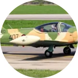 SIAI-Marchetti SF. 260 - Aircraft model