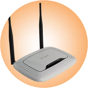 Sibirskie Seti - Company