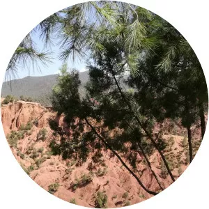 SibovoyageSince 2020