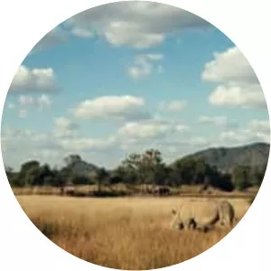 Sides Of A Horn - 2018 ‧ Drama/Short ‧ 17 mins