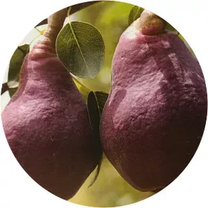 Sienna Pride - TV character