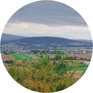 Sieradowice Landscape Park - 