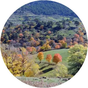 Sierra de Gúdar - Mountain range in Spain