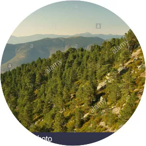 Sierra de la Demanda