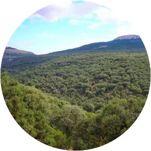 Sierra de las Mamblas