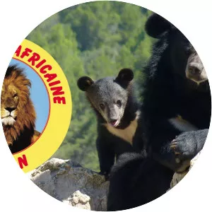 Sigean - Commune in France