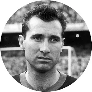 Sígfrid Gràcia - Spanish footballer