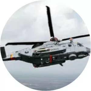 Sikorsky CH-148 Cyclone photograph