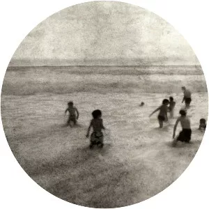 Silent Whale Becomes A Dream