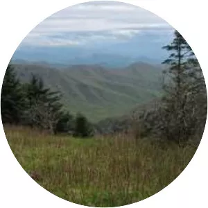 Silers Bald - Mountain in Tennessee