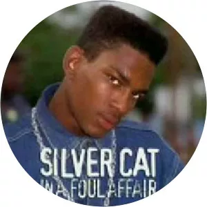 Silver Cat