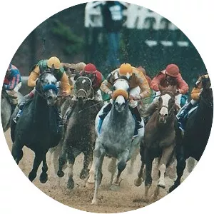 Silver Charm - Horse