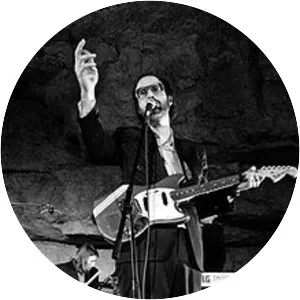 Silver Jews - Rock band