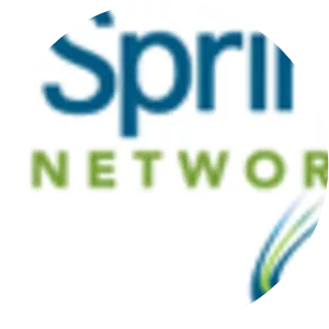 Silver Spring Networks