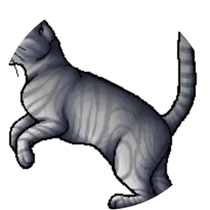 Silver Stripe - 