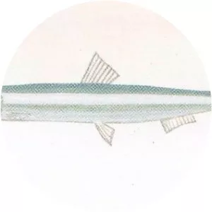 Silver-stripe round herring